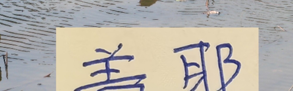 世界杯手机观看-像一堵墙的盖伊 会是申花的卢卡库 还是升级版马莱莱