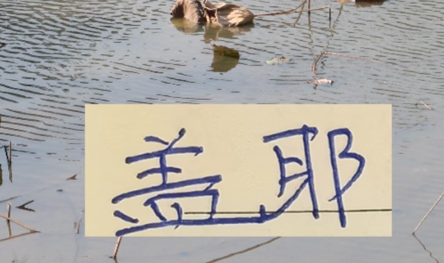 世界杯手机观看-像一堵墙的盖伊 会是申花的卢卡库 还是升级版马莱莱